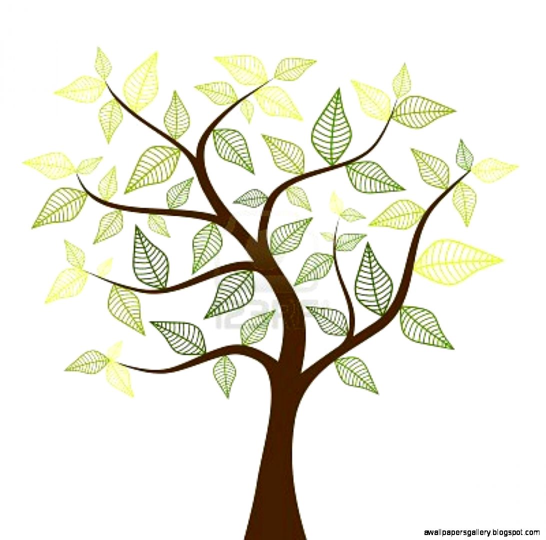 Spring Tree Clipart  Clipart Panda   Free Clipart Images