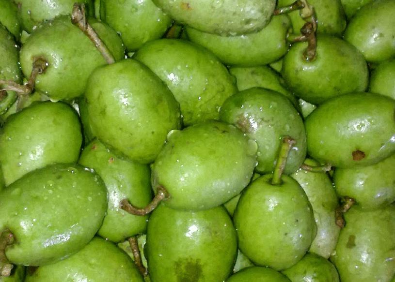 Koromcha Precious Fruits of Bangladesh Kamranga