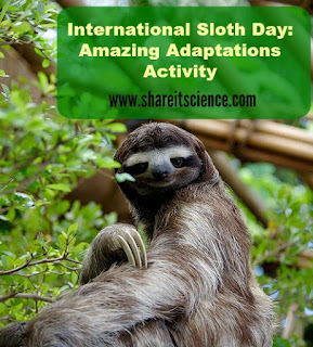 http://www.shareitscience.com/2015/10/international-sloth-day-adaptations-activity-lesson.html