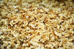 grain whole cooked rye salad groats oat fruit