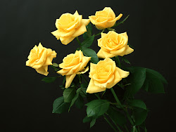 yellow rose flowers flower come please again roses background wallpapers desktop mounds visiting updates thanks