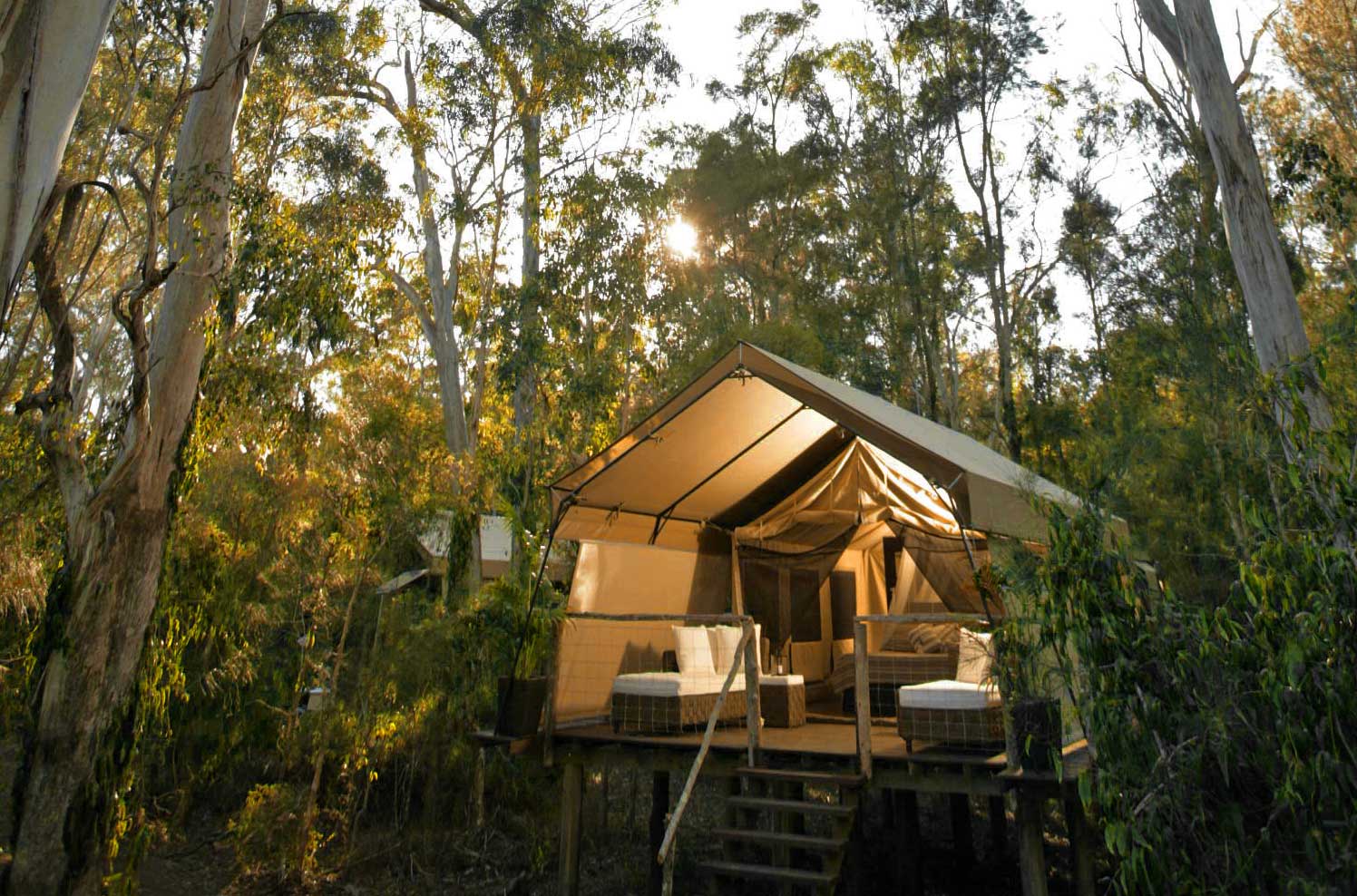 Amazing Wallpapers: Glamping camping, tent, glam camping ...
