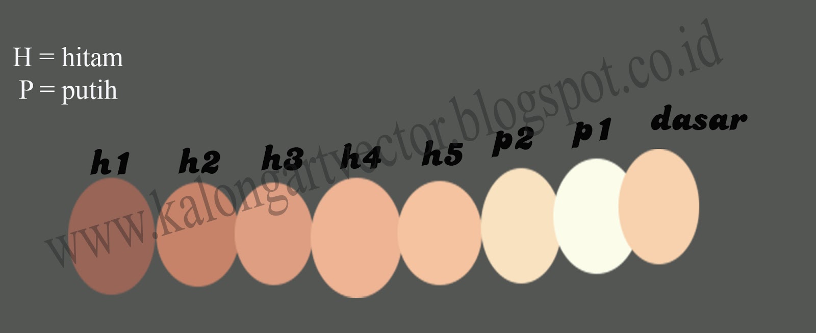 Palette skin tone vector vexel KALONGART