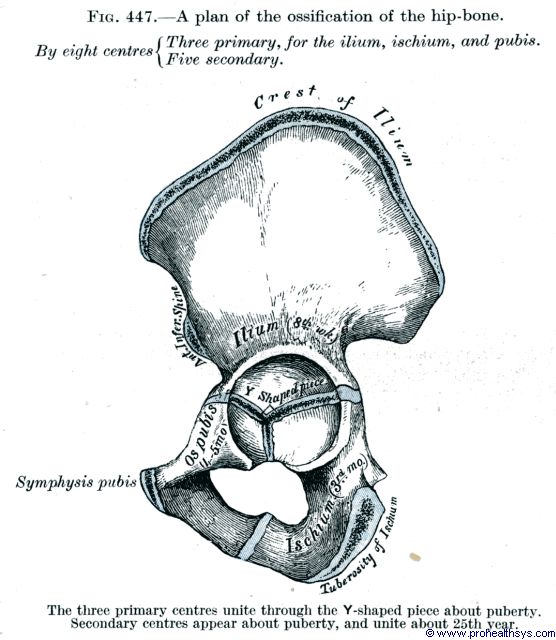 Professional Health Systems: June 2013