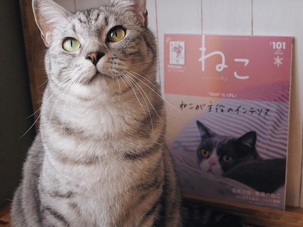 1月12日に発売された雑誌「ねこ」とサバトラ猫