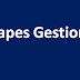 correction capes Gestion 2014