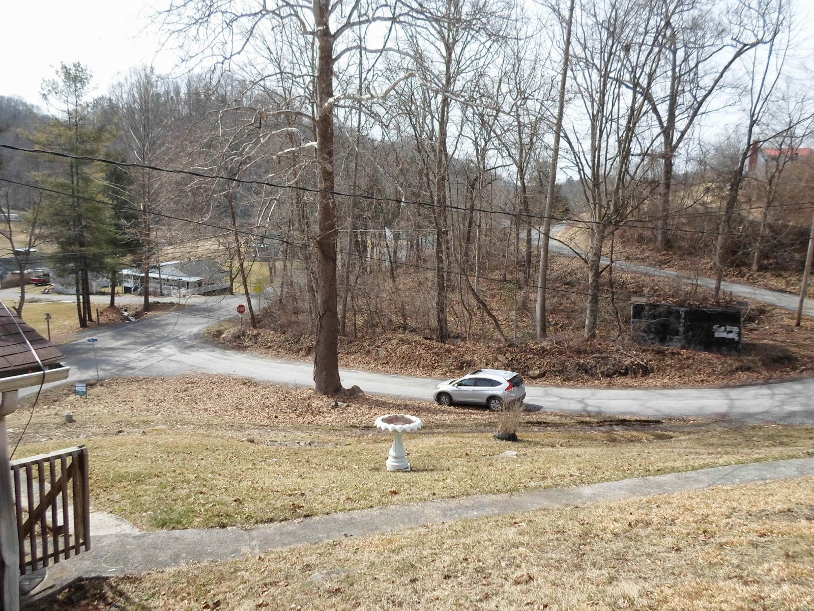 Castlewood Va Weather