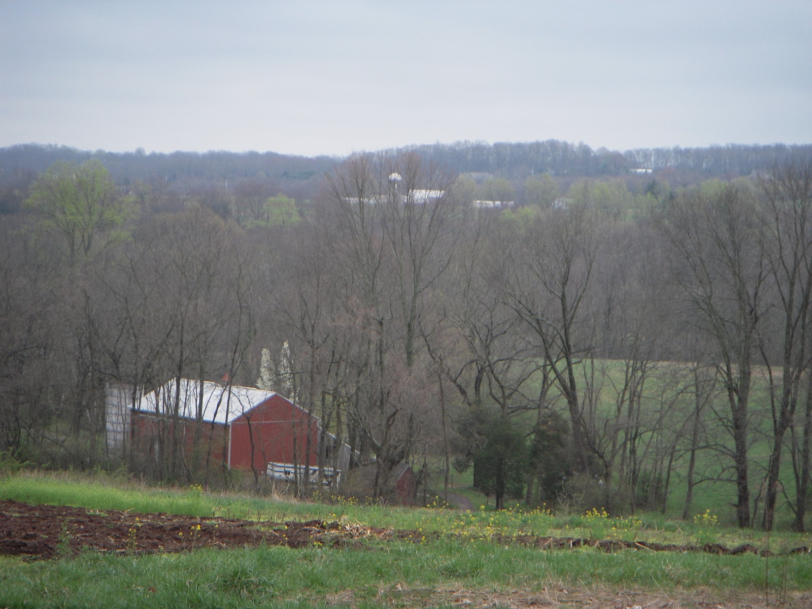 Hill Slug Chronicles Frenchtown Coffeetown Easton