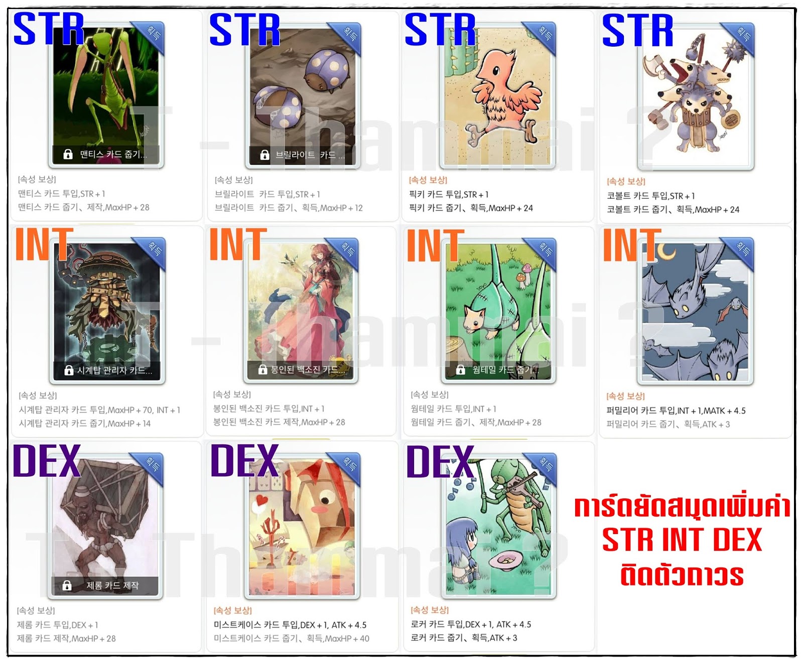 TS Thammai RAGNAROK MOBILE 3D รวมการ์ดคร่าวๆ ที่ยัดสมุดเพิ่มค่า