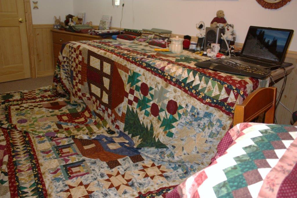 Sarah Lynn's Quilting Thimbleberries Village Quilt Hang Done