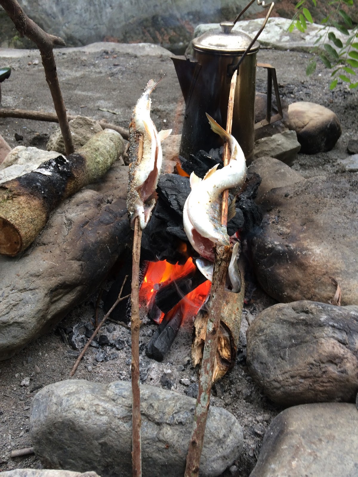 羽岡哲郎ブログ