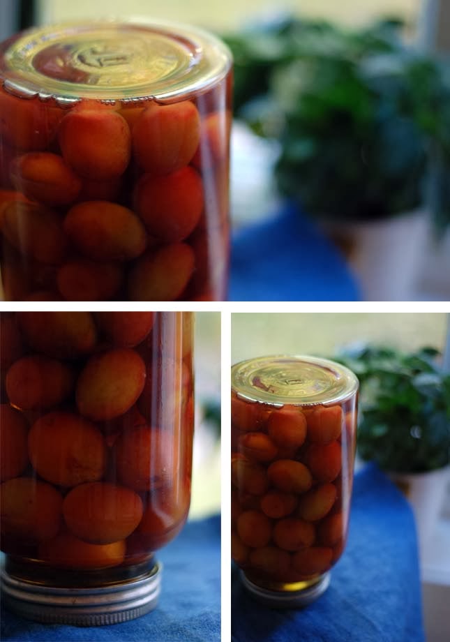 Life in Yonder Plum Liqueur {recipe}