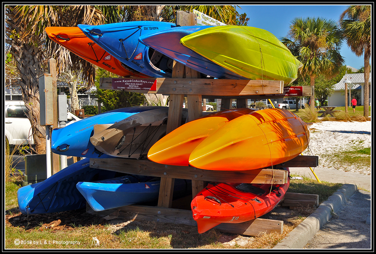 Ocala, Central Florida & Beyond Kayaks in Color in Cedar Key