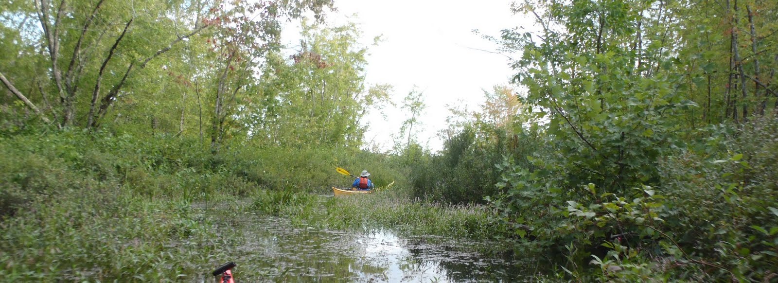 PenobscotPaddles Hermon Pond and the tranquility of small streams