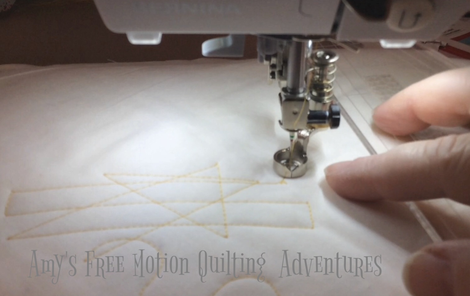 Amy's Free Motion Quilting Adventures Bernina Ruler Foot