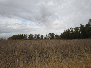 Sacramento National Wildlife Refuge