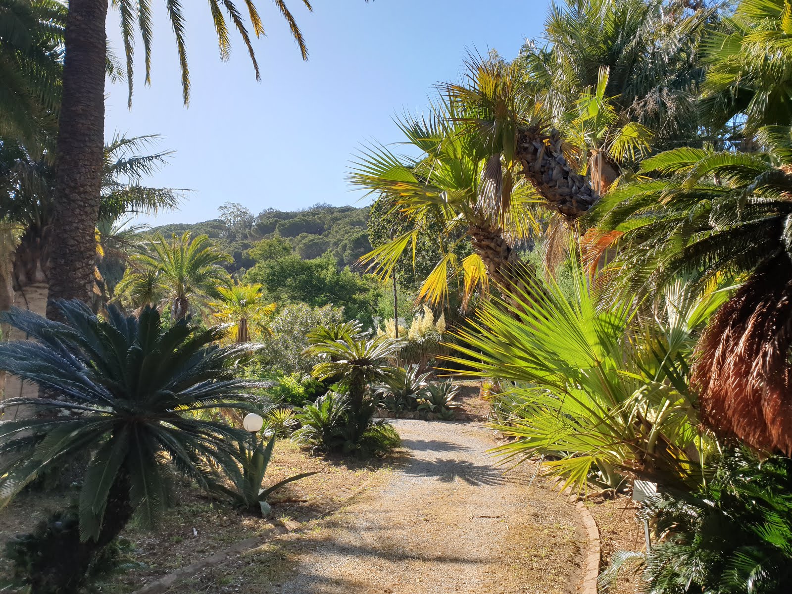 Camping tuin Elba