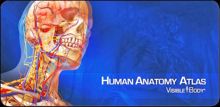 Human-Anatomy-Atlas-apk
