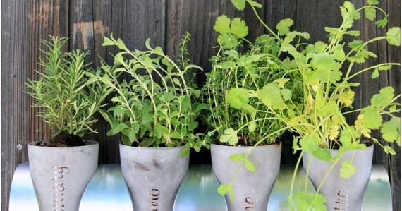 5 Inspiring Indoor Herb Gardens - My Favorite Things