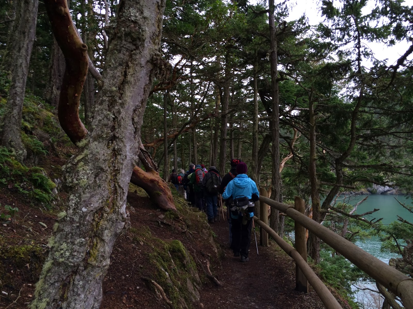 Hears Different Drummer Bowman Bay Lighthouse Point Trailblazer hike