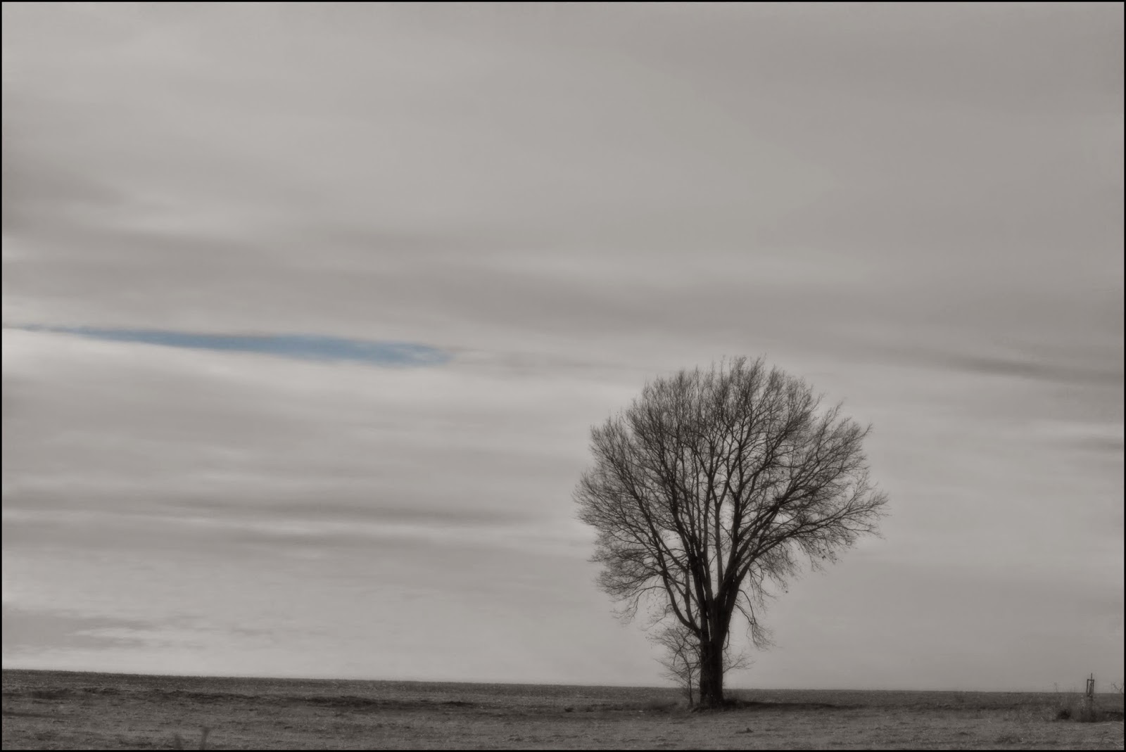 Through Carol's Lens Black and White Challenge on Facebook