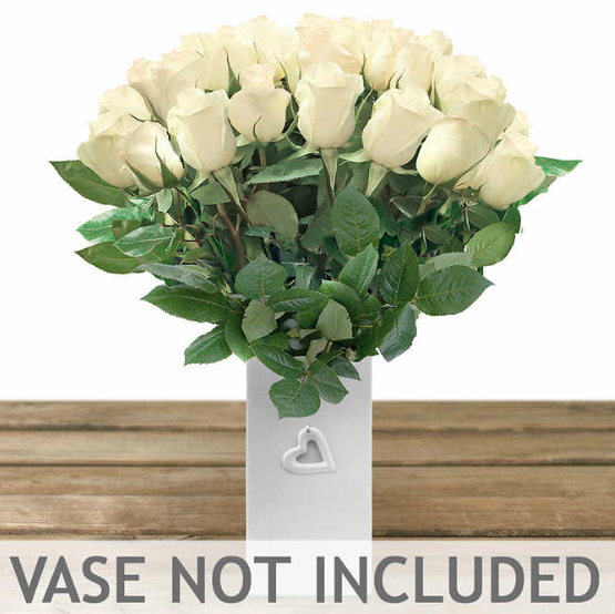 the Costco Connoisseur February 2017