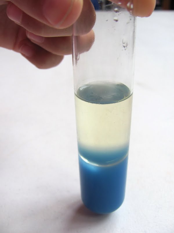 Опыт несмешивающиеся жидкости. Опыты с разными жидкостями. Эксперимент с жидкостями. Опыт с подсолнечным маслом и водой. Эксперимент разная плотность жидкостей.