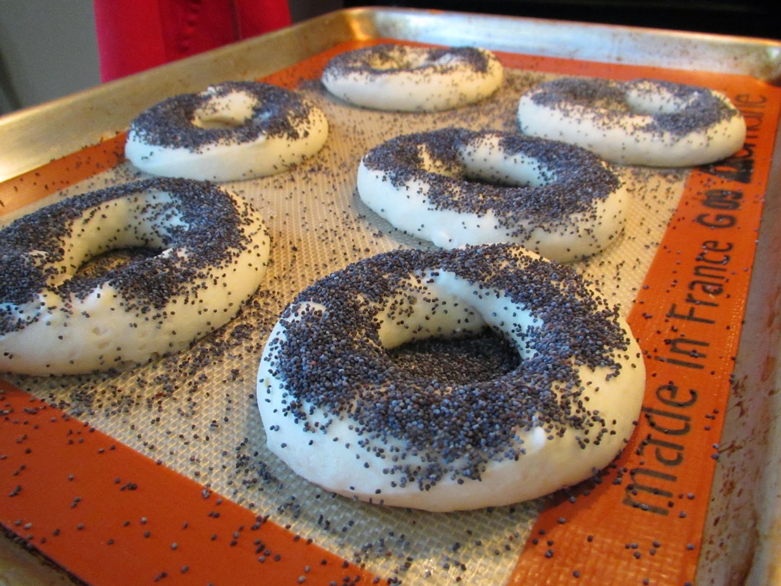 Successfully Gluten Free! Poppyseed Bagels Easy, Delicious