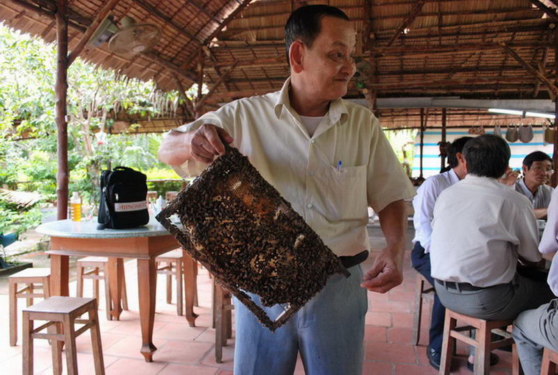 Giới thiệu nghề nuôi ong lấy mật