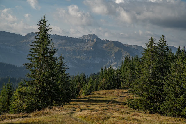 Wandertrilogie Allgäu  Etappe 43  Balderschwang - Grasgehren  Himmelsstürmer Route 09