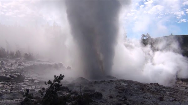 Géiser de Yellowstone explotó más veces en 2018 que en cualquier otro año. Géiser de Yellowstone explotó más veces en 2018 que en cualquier otro año.