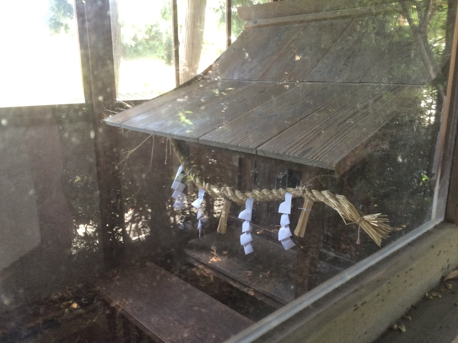 巻貝の種類 - スレート巻貝