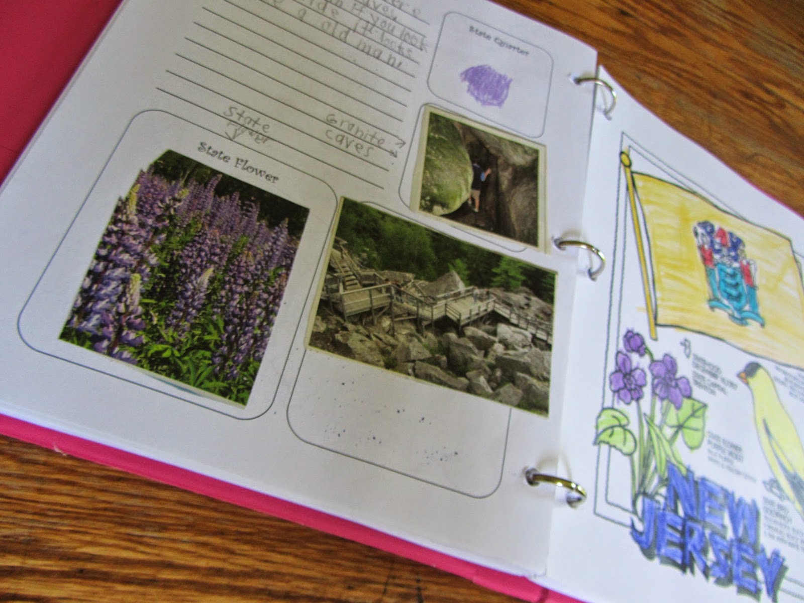 The Unlikely Homeschool Notebooking 101 Different Types of Notebooks {with a video}