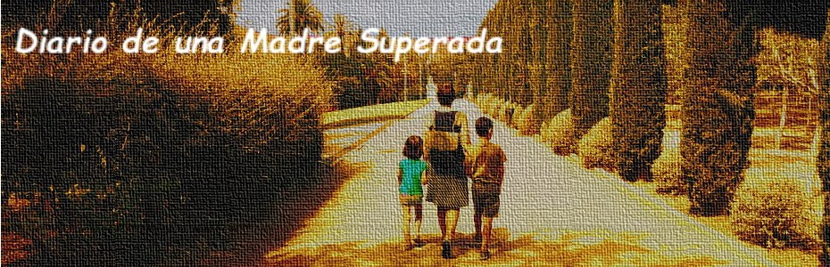 Diario de una madre superada