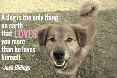 Dog Quotes
