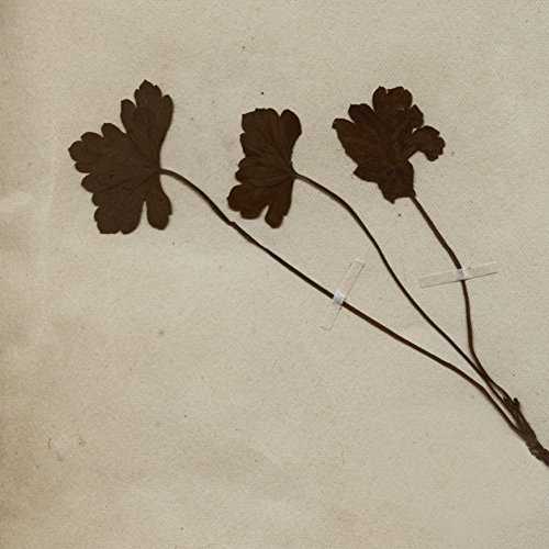 [Single] Akira Kosemura – TRIO (2015.04.16/MP3/RAR)