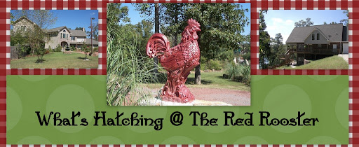 What's Hatching @ The Red Rooster