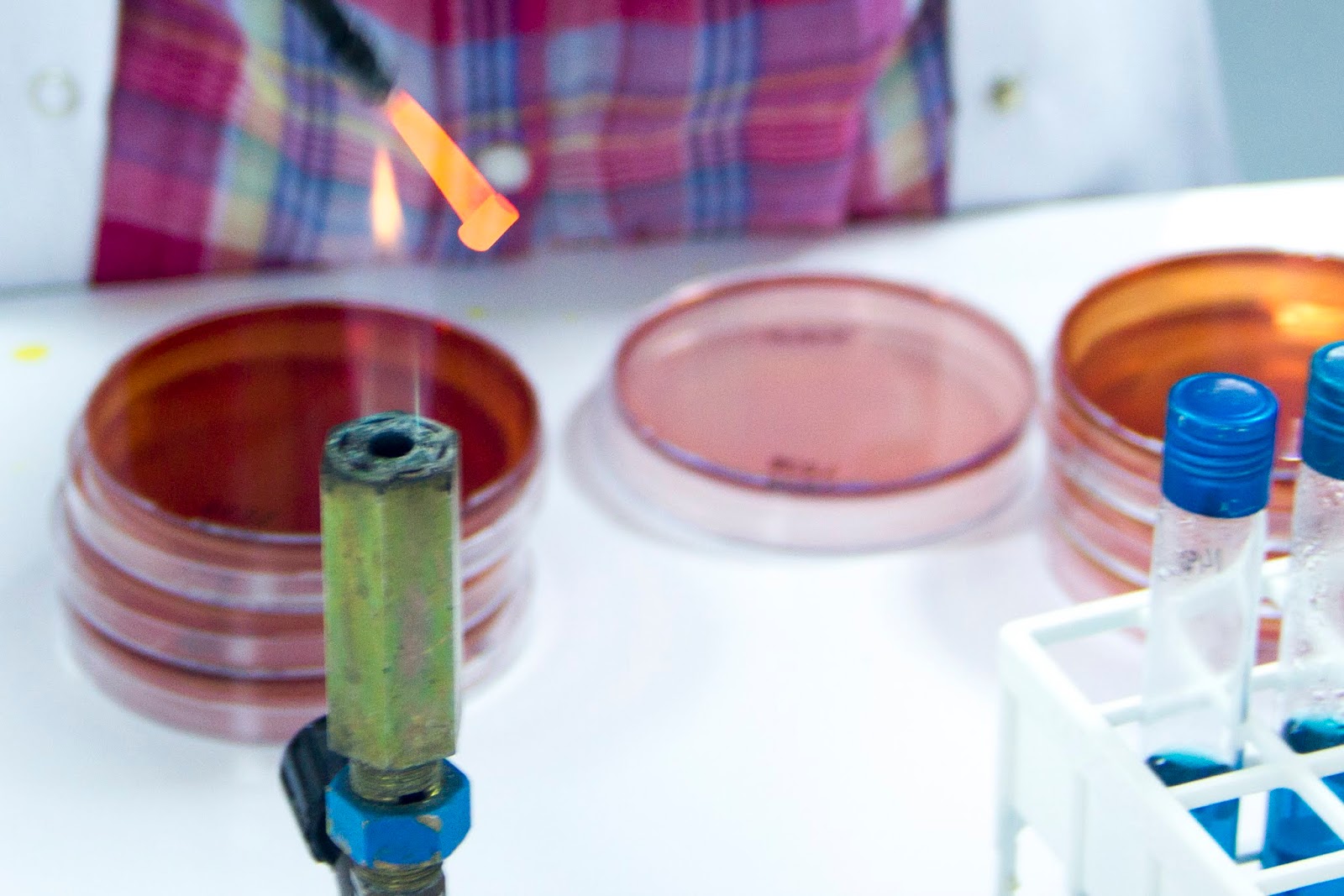 BESİYERİ HAZIRLAMA - Microbiology Laboratory Turkey
