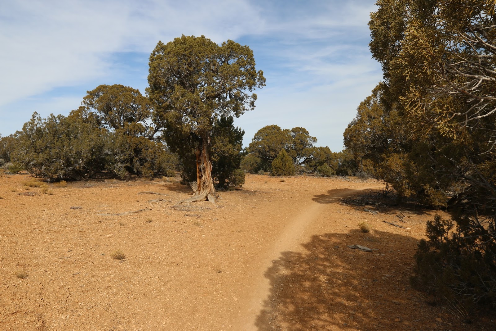 Buzzard Gulch Trails (9)