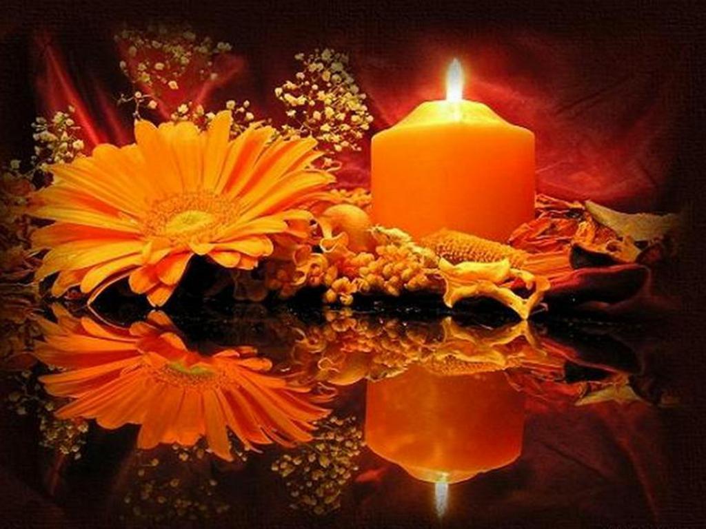 Добрый вечер свечи. Цветы и свечи. Осень свечи. Свеча оранжевая. Вечер цветы и свечи.