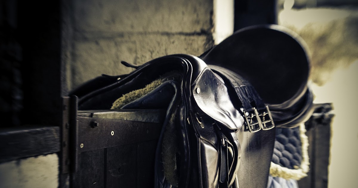 5 Things You Must Teach Your Horse Before Riding - The Rider's Reins