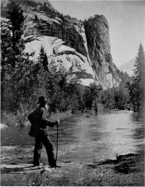 WanderLost john muir