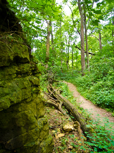 Walls of the old quarry - Hoyt Park Walls of the old quarry - Hoyt Park