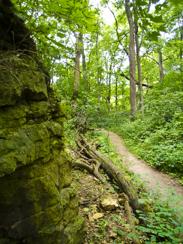 Walls of the old quarry - Hoyt Park