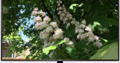 Master Electronics Repair !: REPAIR / SERVICING TV LG 49LJ622V