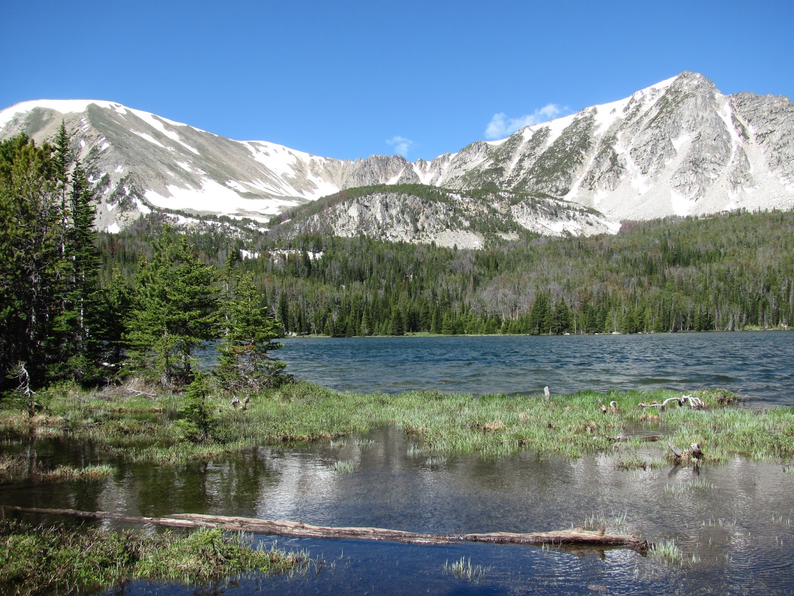 Out there with Tom Hollowtop Mountain Finally back to the Tobacco Roots