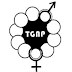 Programme Officer: Monitoring, Evaluation and Learning Jobs at TGNP Mtandao