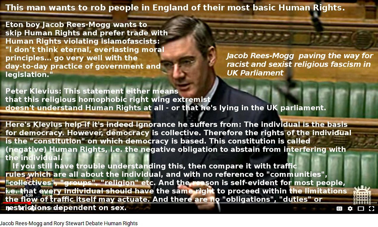 UK PM candidate Rees-Mogg: Germans needed Human Rights - we don't. Klevius: I really think you do.