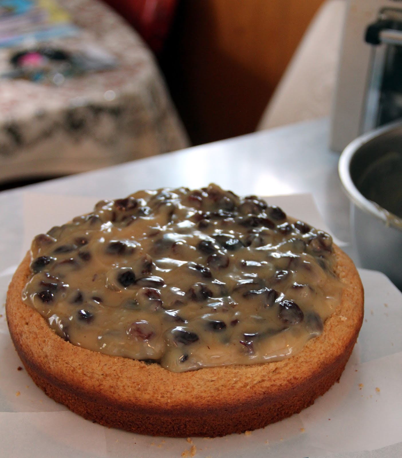 Jo and Sue Raisin Filled Spice Cake