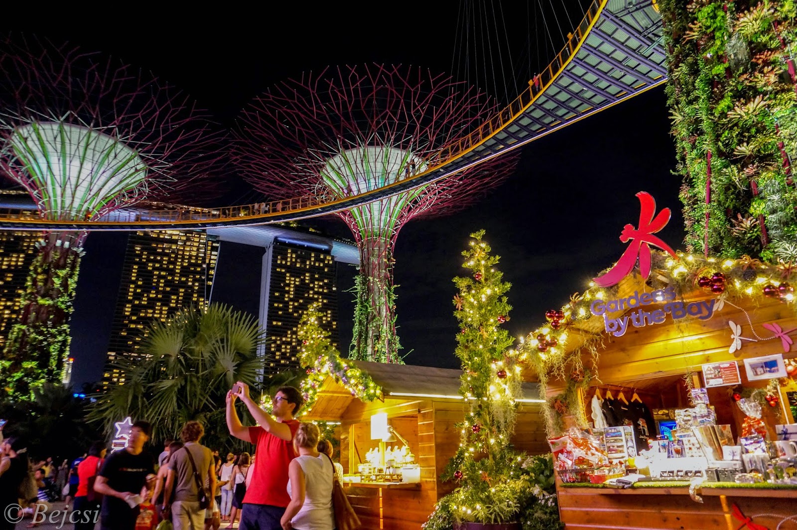 Top things to do this Christmas in Singapore!  Adventures of Bejcsi